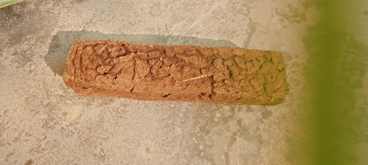 Natural Cow Dung Cakes (Gobar Upla) — photo 1 of 1