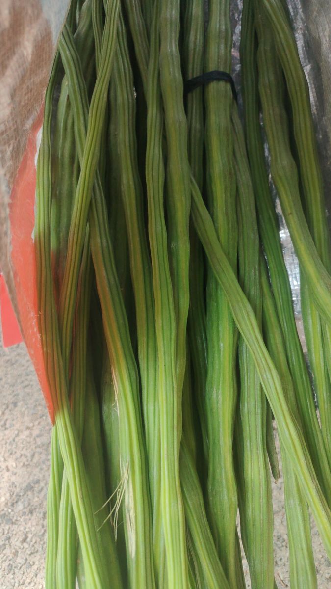 Drumstick — photo on Online Mandi