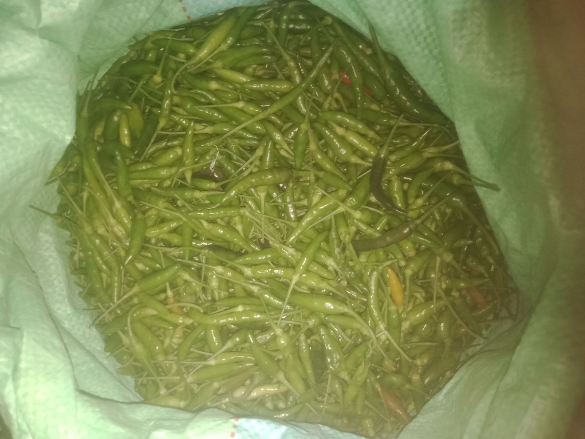 Chilli,ginger kg