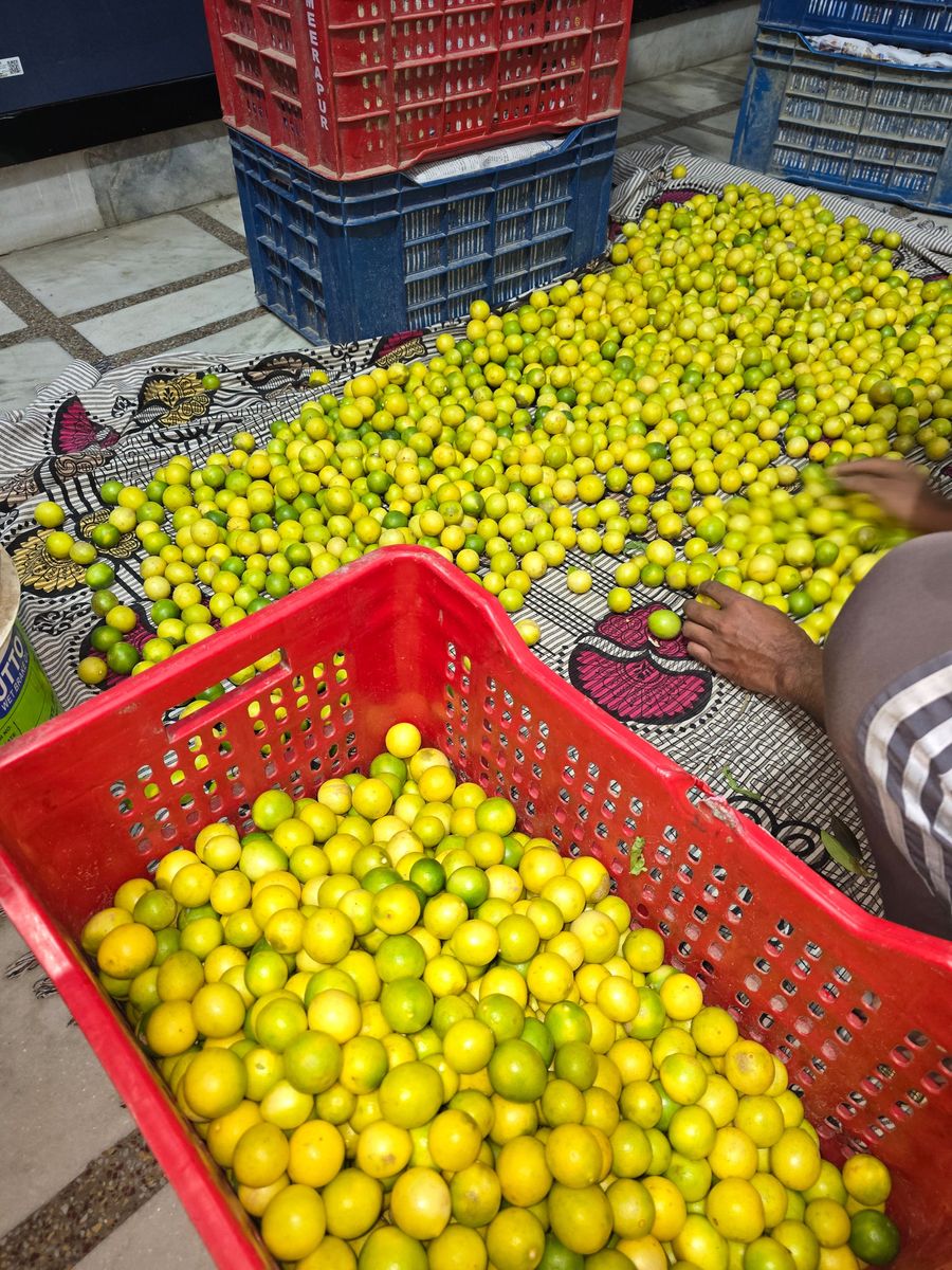 Lemon 🍋 नींबु , 40 ₹ KG