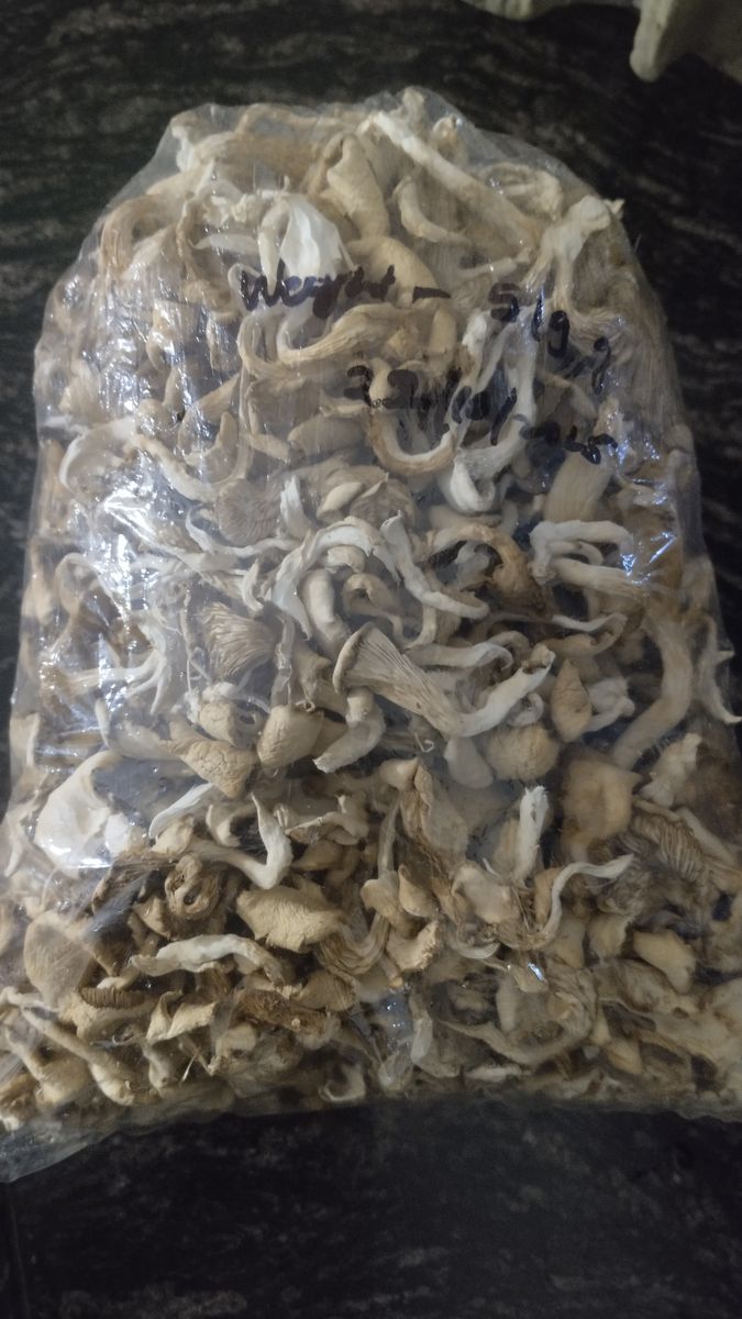 Dried/ Dehydrated Oyster Mushroom — photo on Online Mandi