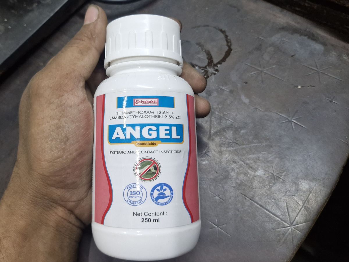 Angel insecticide
