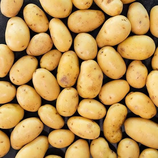 Fresh Potato – Wholesale Supplier