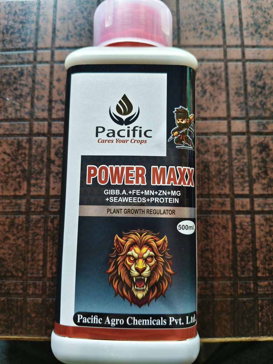Power maxx