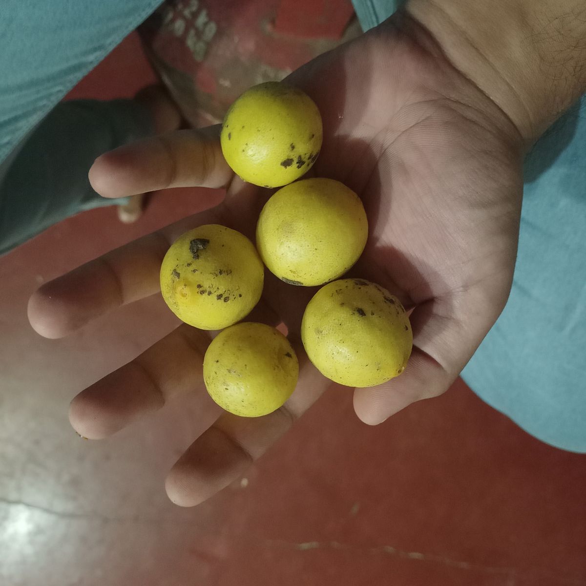 Lemon