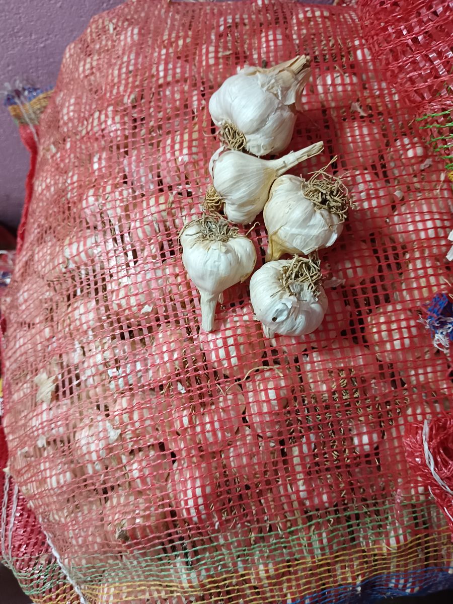 Fresh garlic — photo on Online Mandi