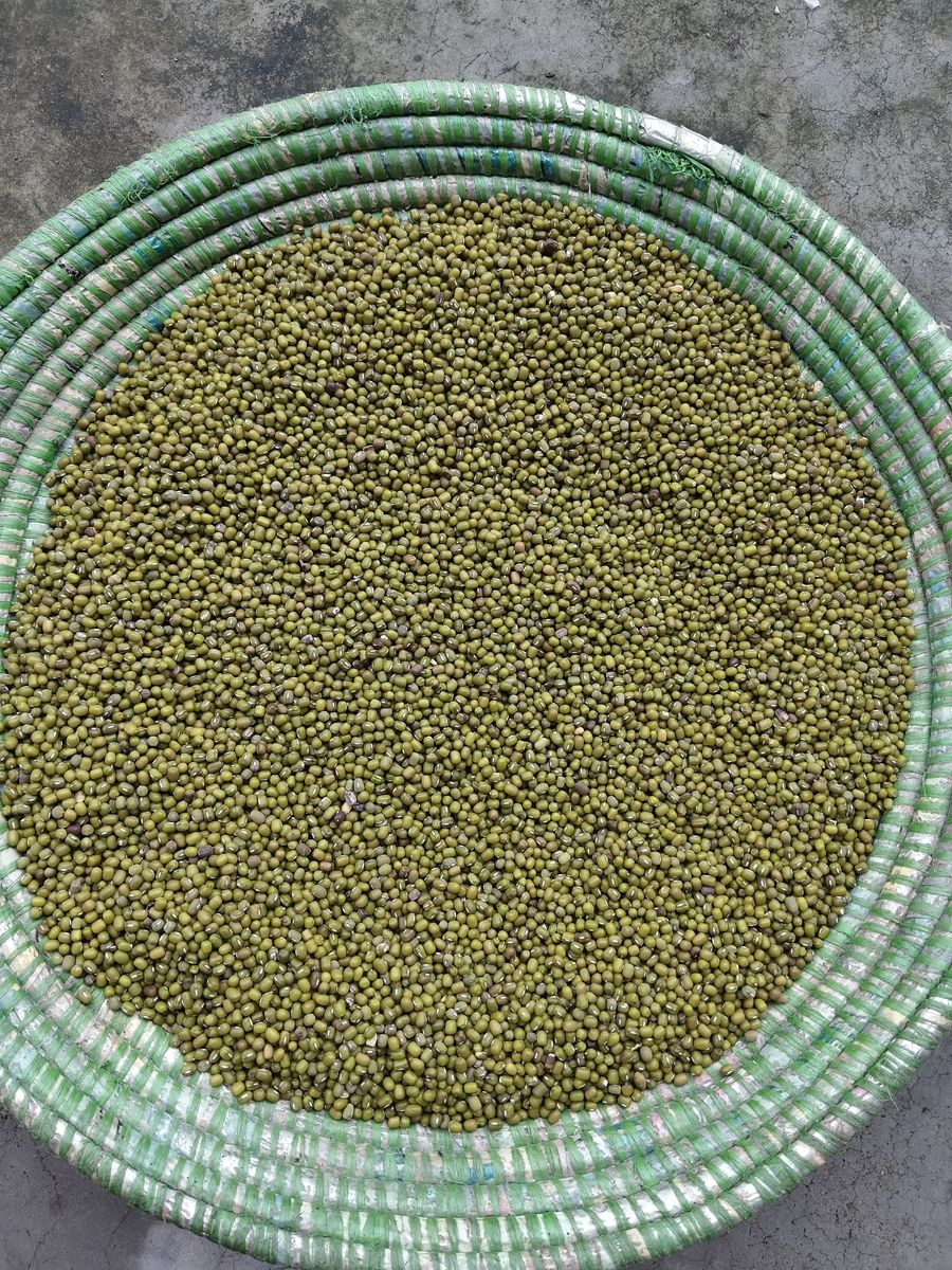 Pulse (moong) — photo 2 of 2