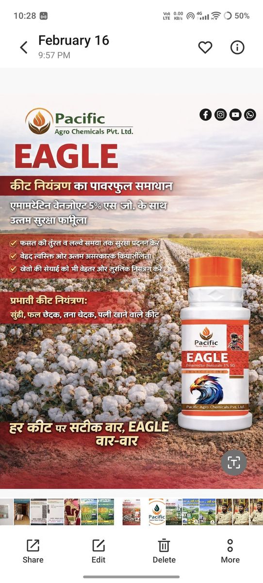 Eagle 🦅🦅🦅
