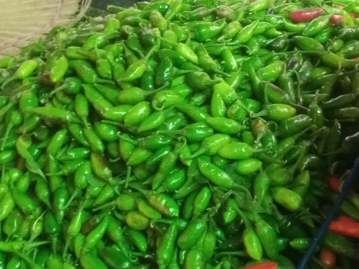 Fresh Green Chilli — photo 3 of 5