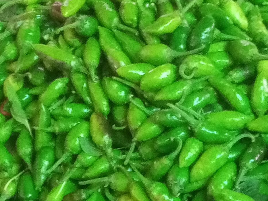 Fresh Green Chilli — photo 1 of 5