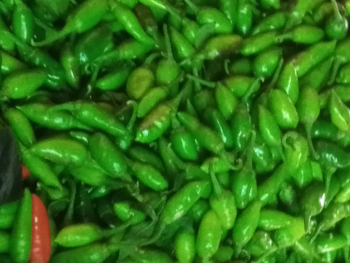 Fresh Green Chilli — photo 4 of 5
