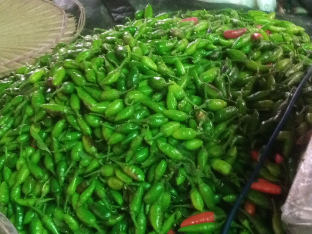 Fresh Green Chilli — photo 5 of 5
